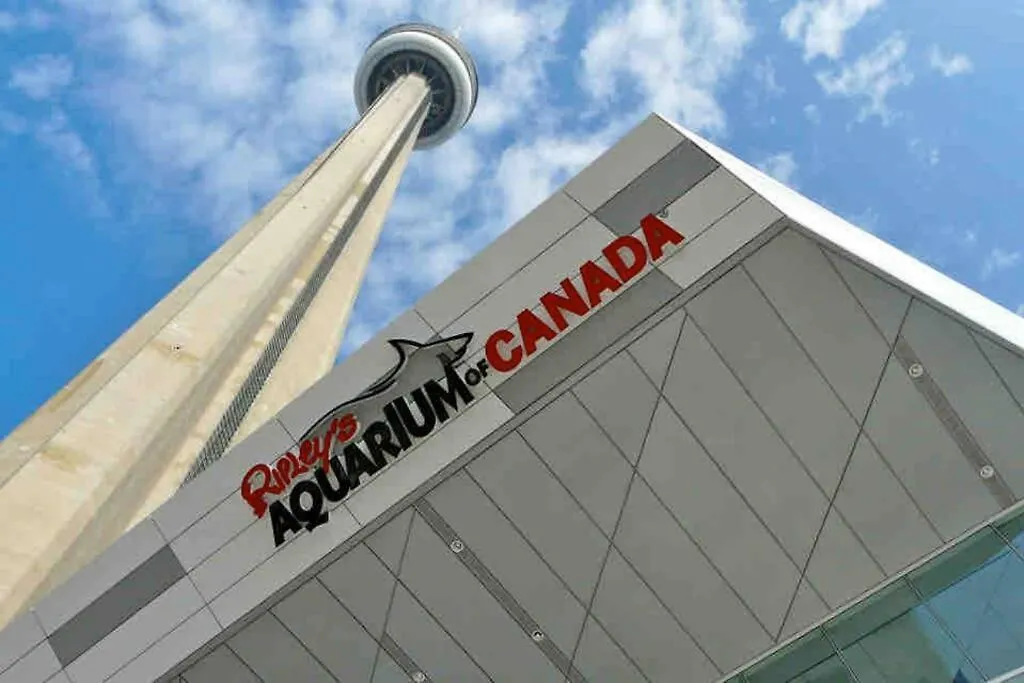 Comfy 1Br & Den With Balcony- Close To Cn Tower Toronto Canada